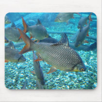 Shoal of fish mousepads