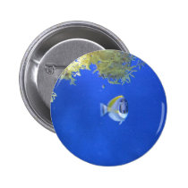 Shocked Fish buttons