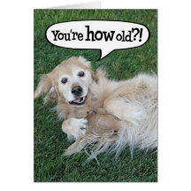Shocked Golden Retriever Birthday Card