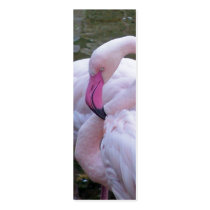 Shocking Pink Bookmark Business Cards