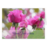 Shocking Pink Rose Beauty Card