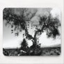 shoe tree mouse mat