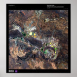 Shoemaker Crater Australia Posters