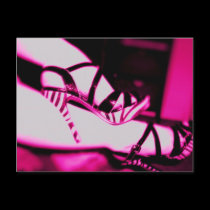 shoes postcard postcards