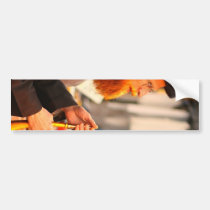 Shofar sound bumper stickers