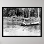 Shooting Fish on the Amazon River 1902 posters