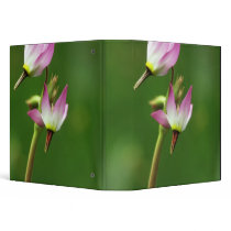 Shooting star wildflower, California, USA Binders