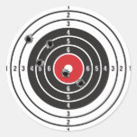 Shooting Target Sticker
