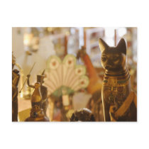 Shop Window with Cat Sculpture Postcard