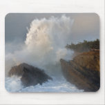 Shore Acres State Park Mouse Pad