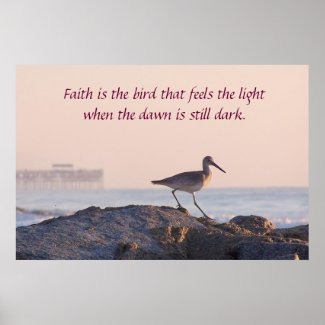 Shore Bird Morning Inspirational Poster
