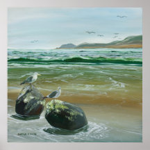 Shore Birds Poster