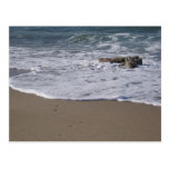 Shore Postcard