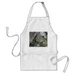 Shore rocks, jagged, with small green shoot apron