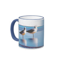 shore shots by toni mugs