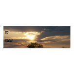 Shore Sunset Profile Card