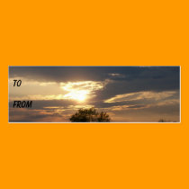 Shore Sunset Profile Card profile cards