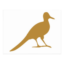 Shorebird Waders Shorebirds Bird Birds Seagull Post Cards