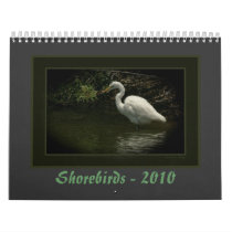 Shorebirds - 2010 calendars