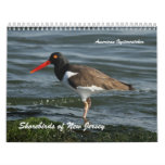 Shorebirds of New Jersey Calendar