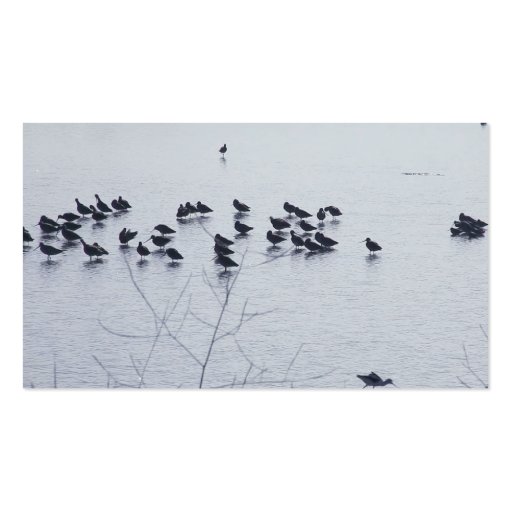 shorebirds on a lake business card (front side)
