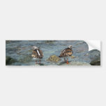 Shorebirds on Unalaska Island Bumper Stickers