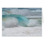 Shorebreak cards