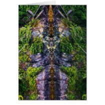 Shoreline Reflections 18 Greeting Cards