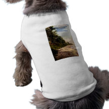 Shores of Lake Michigan - Vintage Pet Shirt