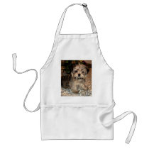 Shorkie Puppy aprons by suziec Shorkie Puppy aprons