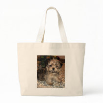 Shorkie Puppy Canvas Bag
