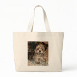 Shorkie Puppy bags