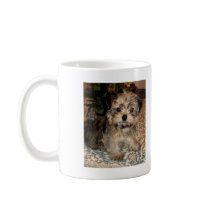 Shorkie Puppy Coffee Mug