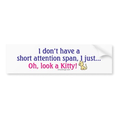 oh look a kitteh short attention span oh look a kitteh short attention span
