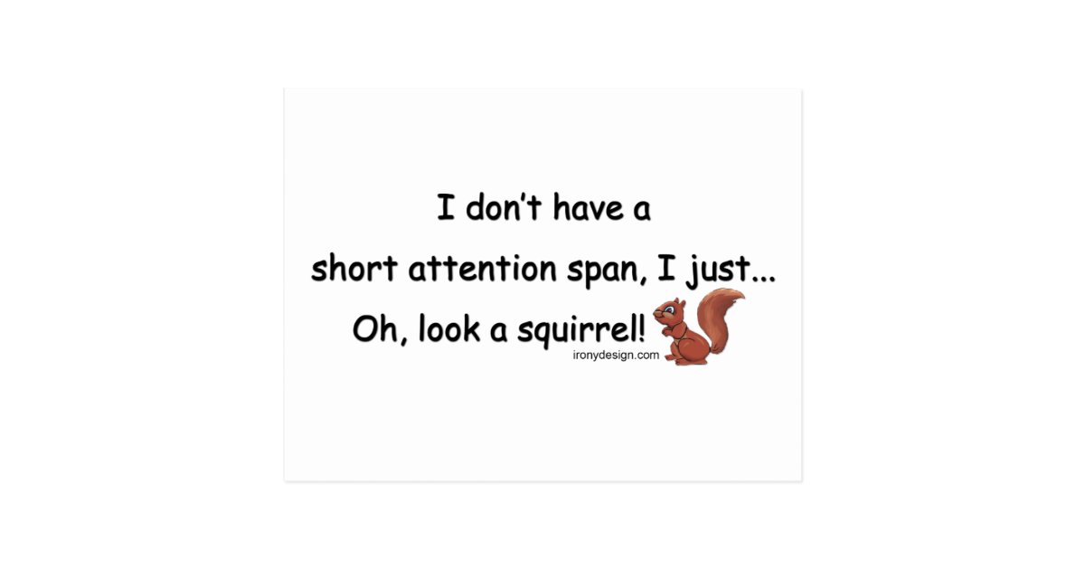 Short Attention Span Squirrel Postcard Zazzle
