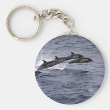 Short-beaked common dolphin key chain