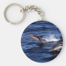 Short-beaked common dolphin key chains