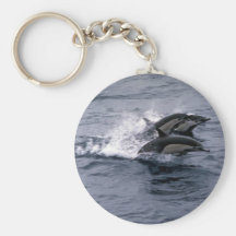 Short-beaked common dolphin keychain