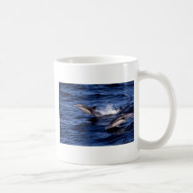 Short-beaked common dolphin mug
