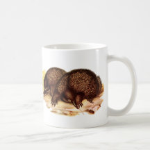 Short-beaked Echidna Coffee Mugs