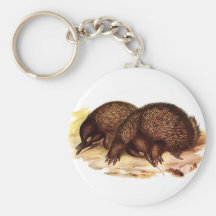 Short-beaked Echidna Key Chain