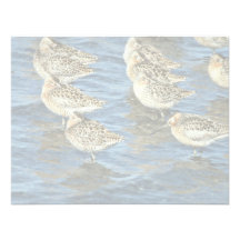 Short-billed Dowitcher Flock at Shoreline Personalized Invitation