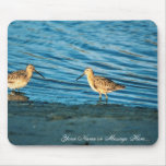 Short-billed Dowitcher Pair Mouse Pads