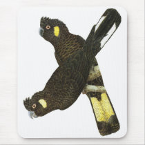 Short-billed & Yellow-tailed Black Cockatoos mousepads