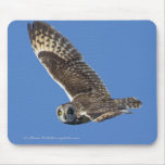 Short-eared Owl in Flight Mouse Pads