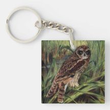 Short-eared Owl in Wetlands Acrylic Key Chain