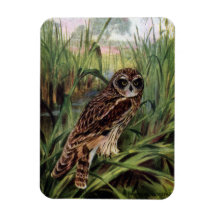 Short-eared Owl in Wetlands Rectangular Magnet