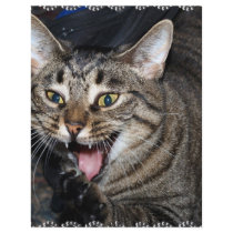 Short hair Maine coon letterhead by BrianLemburg Short hair Maine coon letterhead