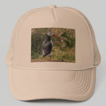 Short Puffin Hat