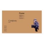 Short-tail Hawk business cards